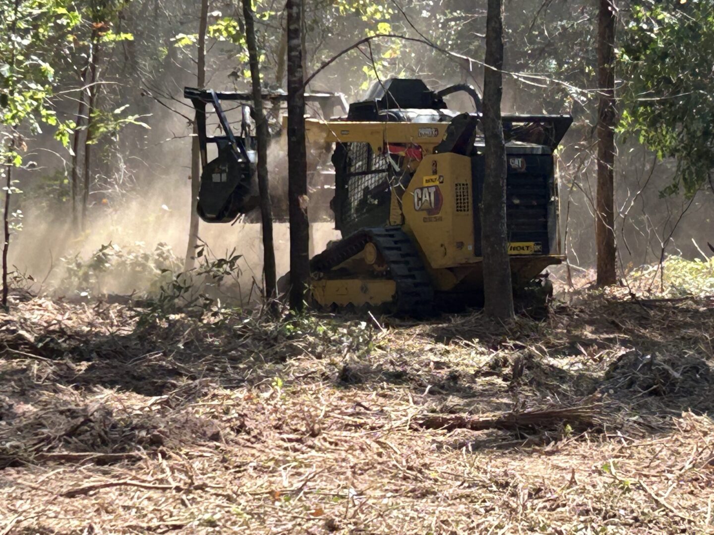 A yellow and black tractor is in the woods