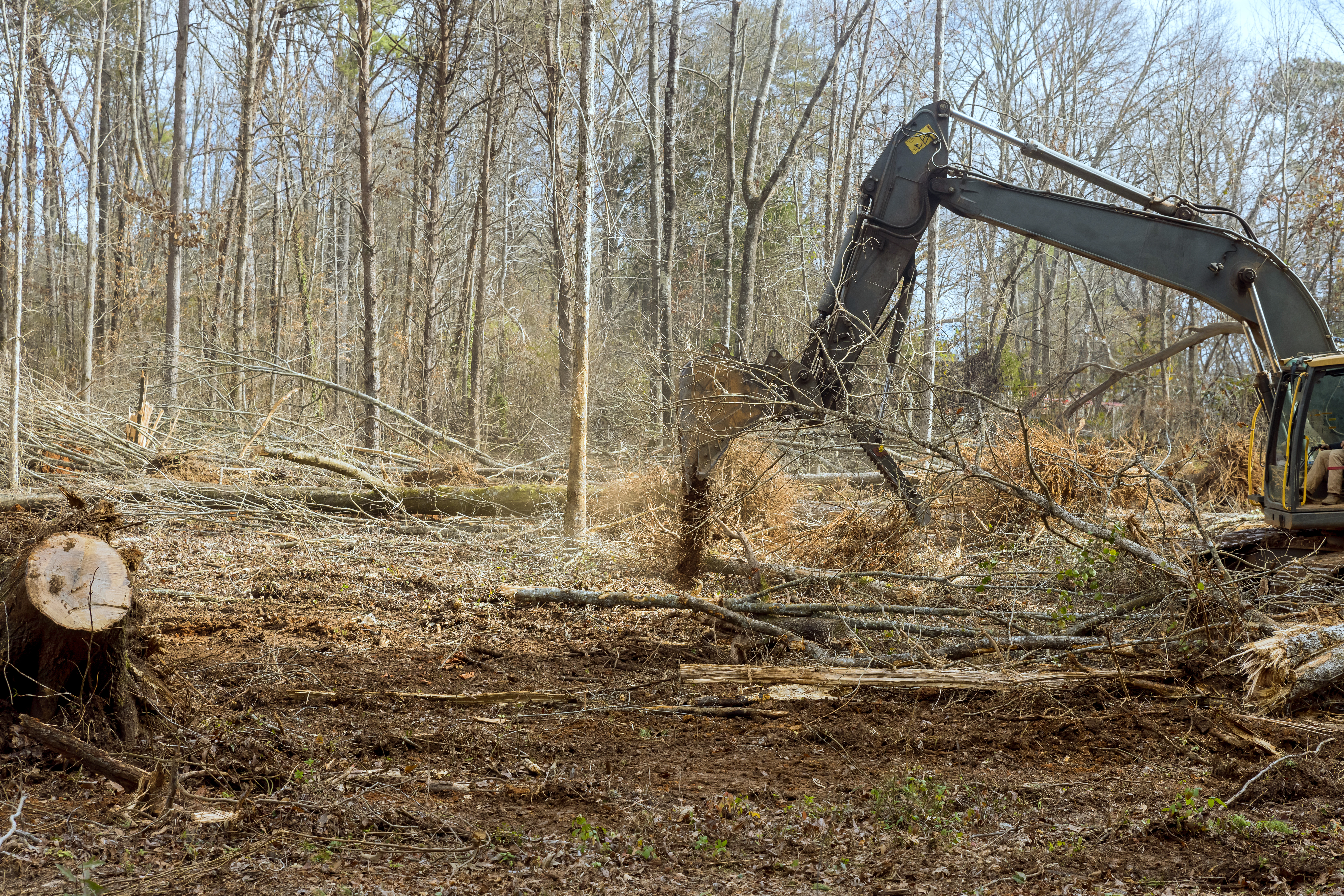 A large piece of machinery is in the middle of a forest.